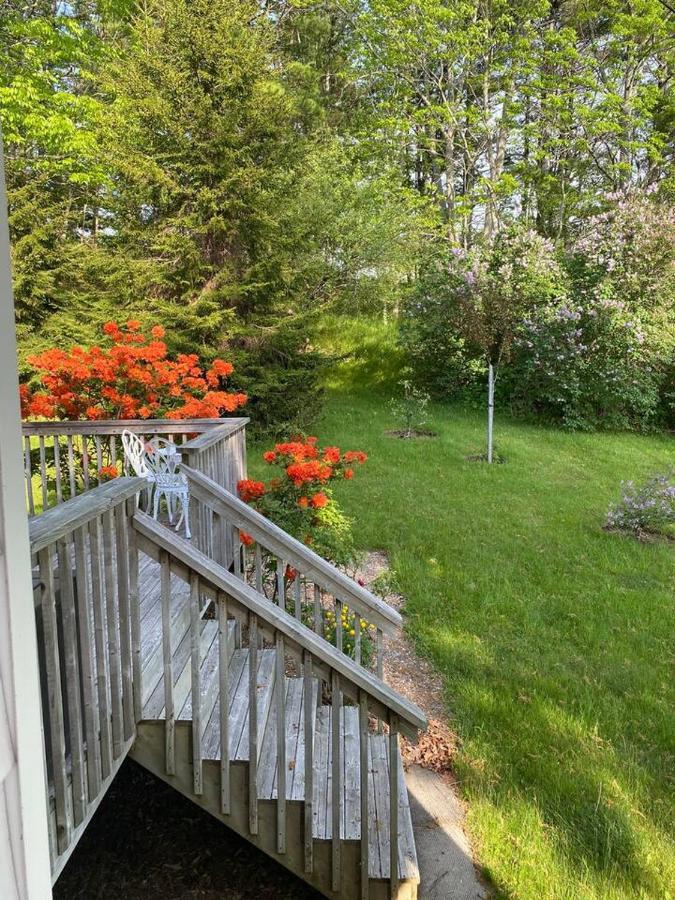Sea La Vie Apartamento Mahone Bay Exterior foto