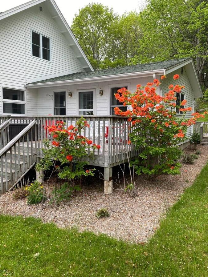 Sea La Vie Apartamento Mahone Bay Exterior foto